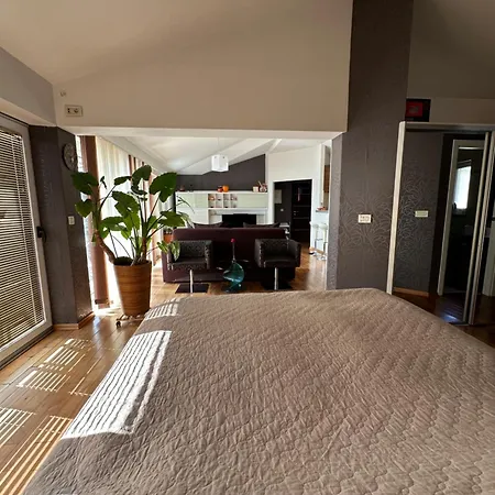 Apartment Queen Of