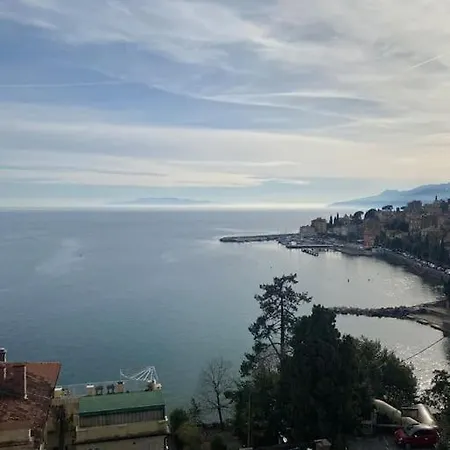 Queen Of Apartment *