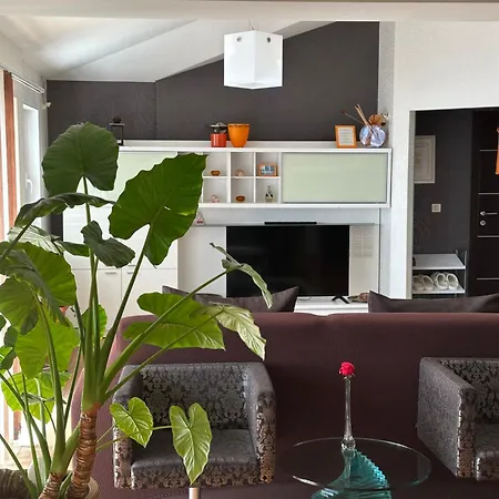 Queen Of Appartement